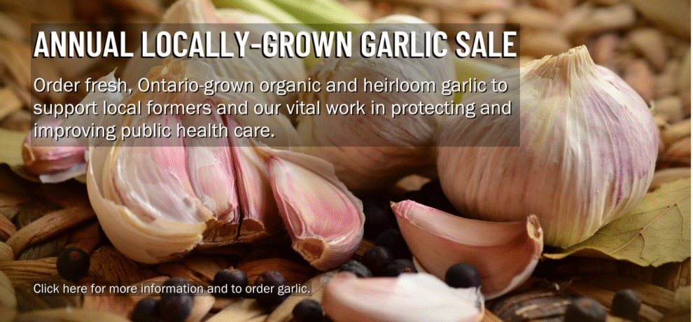 Garlic Fundraiser - 3